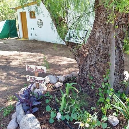 La Diamantina, Hospedaje Holistico San Marcos Sierra Eksteriør billede